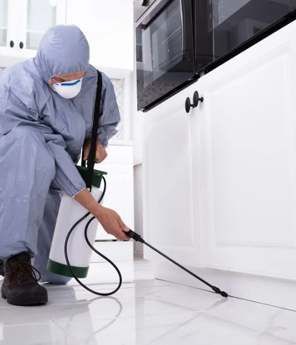 Pest Control in La Mesa California