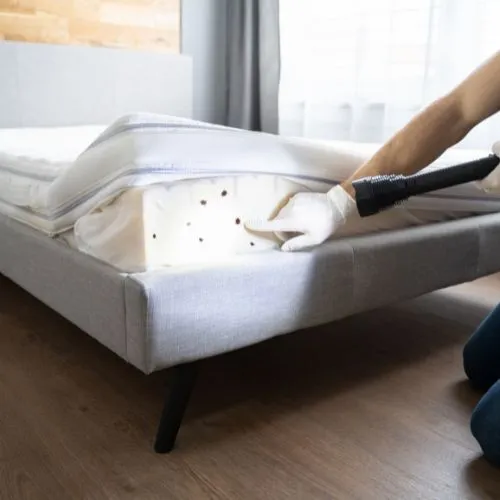 Bed Bug Treatment - Pest Control Service in La Mesa