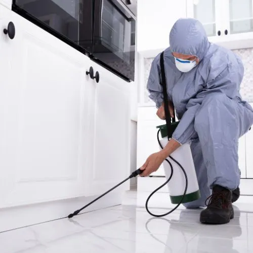 Pest Control Service La Mesa