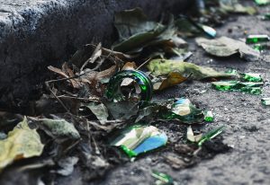 Signs Wildlife May Be on Your Property - Spilled Garbage
